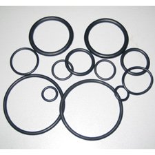 O RING SET WATER / MAX   (T7C4B)
