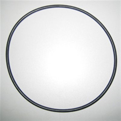 O RING FOR BIG BLUE HOUSINGS