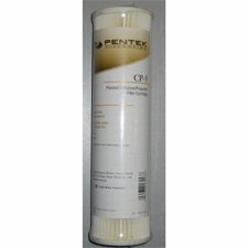 CART.#10 SED 5M PLEATED CELLULOSE POLYESTER ECP5-10