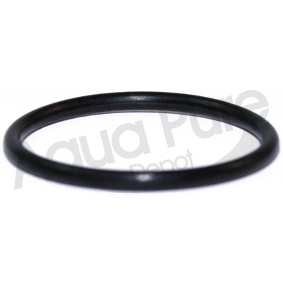 O RING FOR FOR PLUNGER CAP