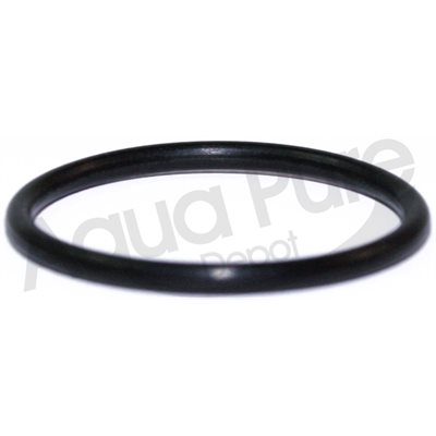 O RING FOR SEAL INSERT LARGE 541 / 542