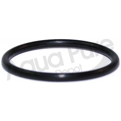 O RING FOR SEAL INSERT LARGE 541 / 542