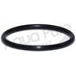 O RING FOR SEAL INSERT LARGE 541 / 542