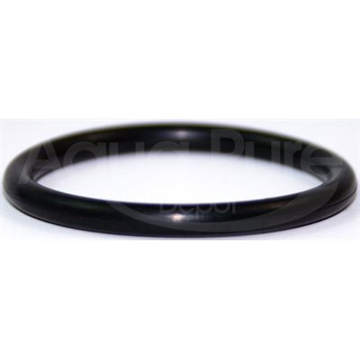 O RING MIDLE FOR BY-PASS 2001-BP