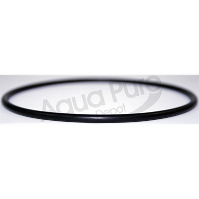 O RING FOR 20 " HOUSING B890