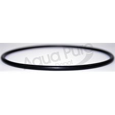 O RING FOR 20  " HOUSING B890