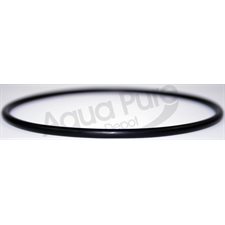 O RING FOR  HOUSING C-891 AND B891