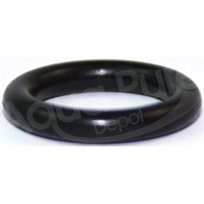 O RING FOR MEMBRANES